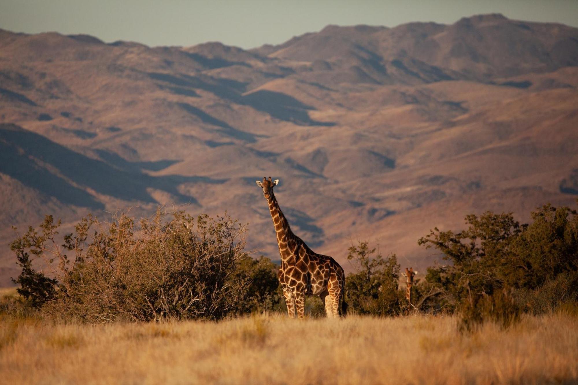 Sandfontein Lodge & Nature Reserve Exterior photo