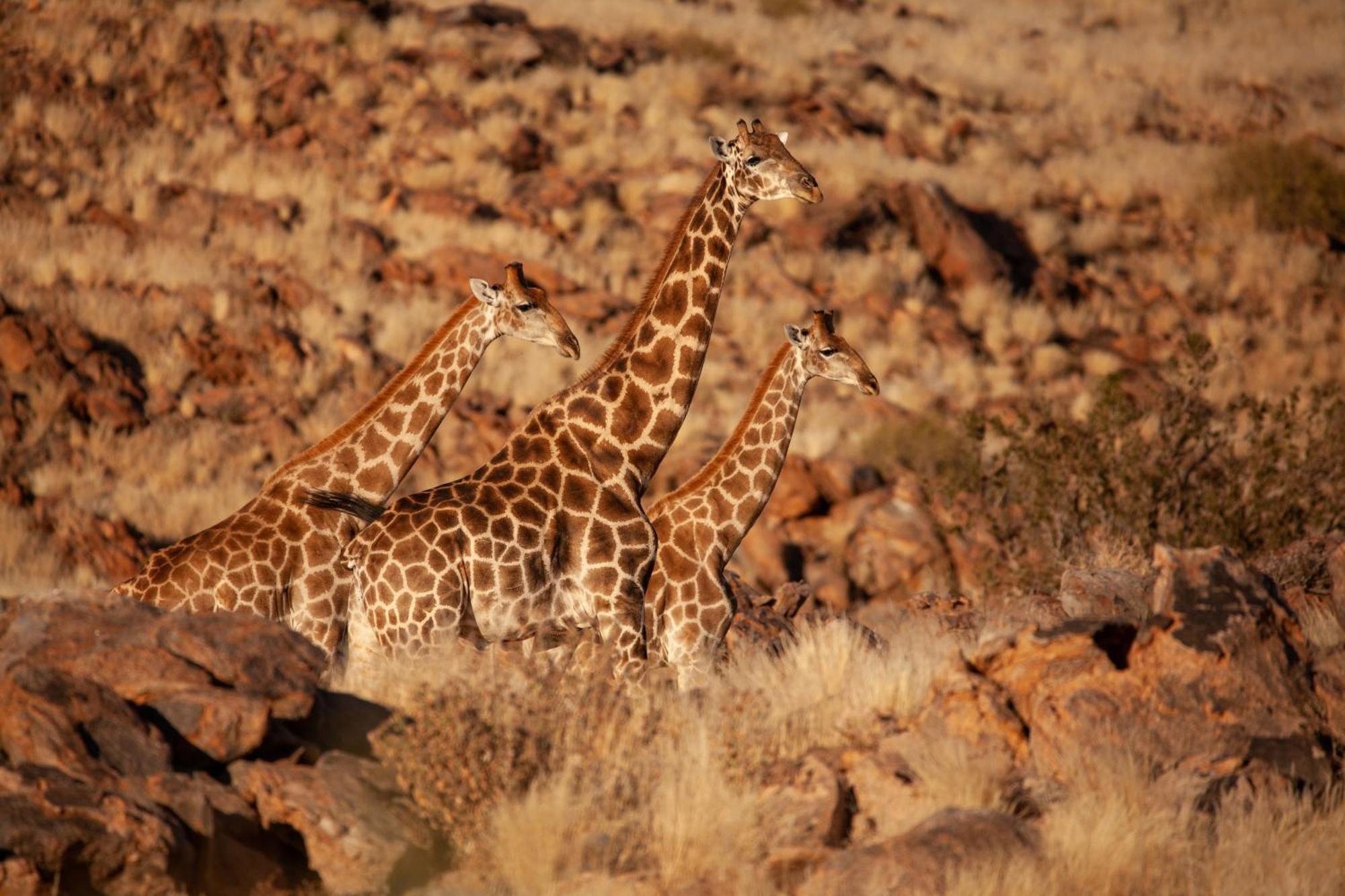 Sandfontein Lodge & Nature Reserve Exterior photo