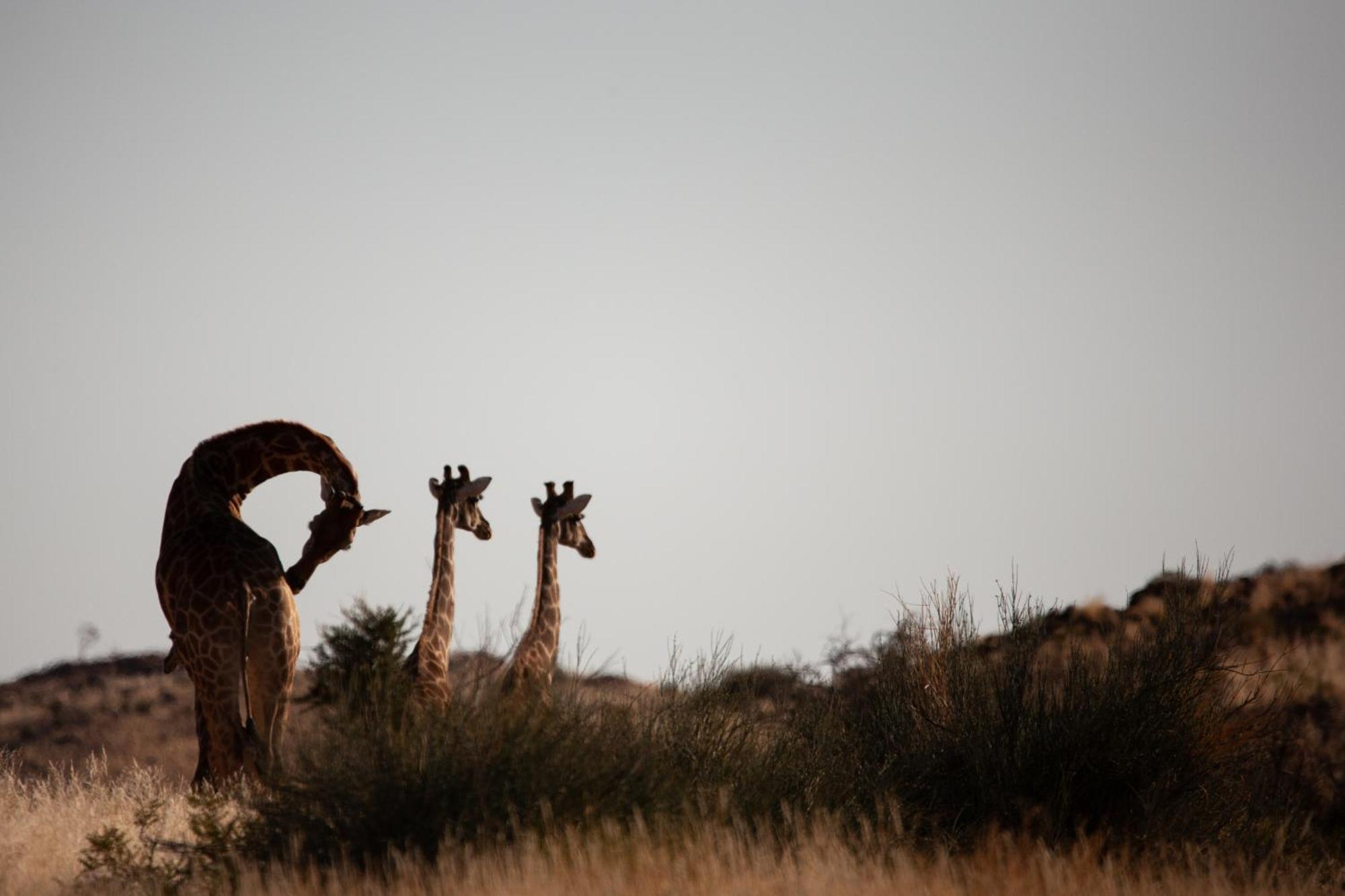Sandfontein Lodge & Nature Reserve Exterior photo